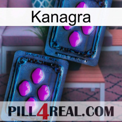 Kanagra 03